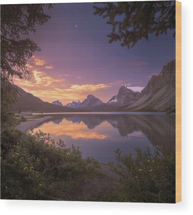 America Wood Print featuring the photograph Bow Lake at dawn by William Lee