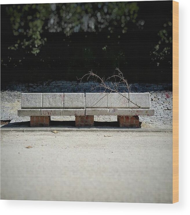 Park Wood Print featuring the photograph Branch On A Bench
#urban #landscape by Rafa Rivas