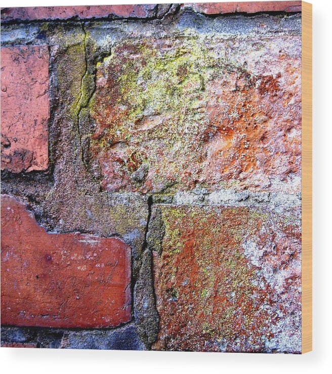 Bricks Wood Print featuring the photograph Brick Wall by Roberto Alamino