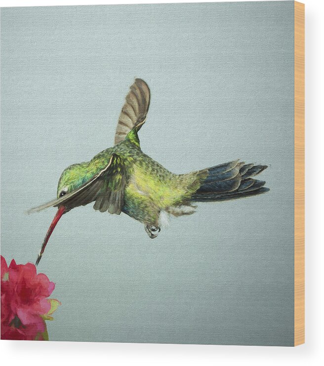 Arizona Wood Print featuring the digital art Broadbill Hummingbird with Digital Painting Effect by Gregory Scott