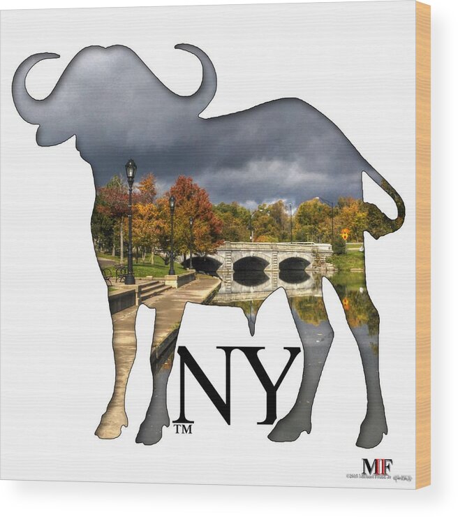 Michael Frank Jr; Nikon; Hdr; Iphone Case; Iphone; Galaxy; Galaxy Case; Phone Case; Buffalo; Buffalo Ny; Buffalo Wood Print featuring the photograph Buffalo NY Hoyt Lake by Michael Frank Jr