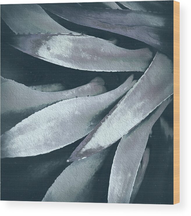 Cactus Wood Print featuring the photograph Cactus in Blue and Grey 2 by Julie Palencia