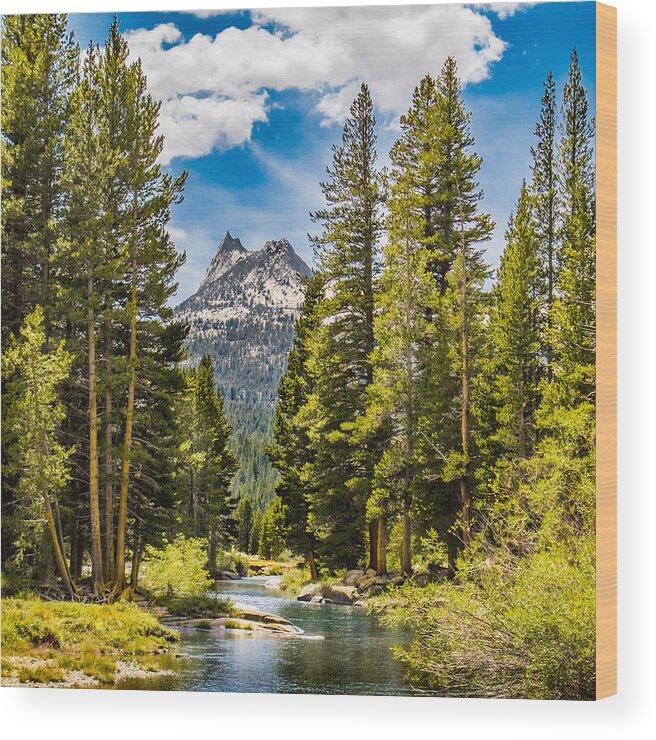 Landscape Wood Print featuring the photograph Cathedral Peak by Susan Eileen Evans