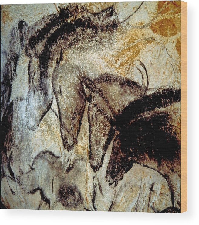 Cave Art Wood Print featuring the photograph Cave Painting 4 by Andrew Fare