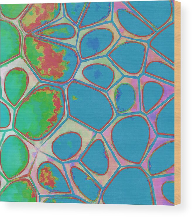 Painting Wood Print featuring the photograph Cells Abstract Three by Edward Fielding