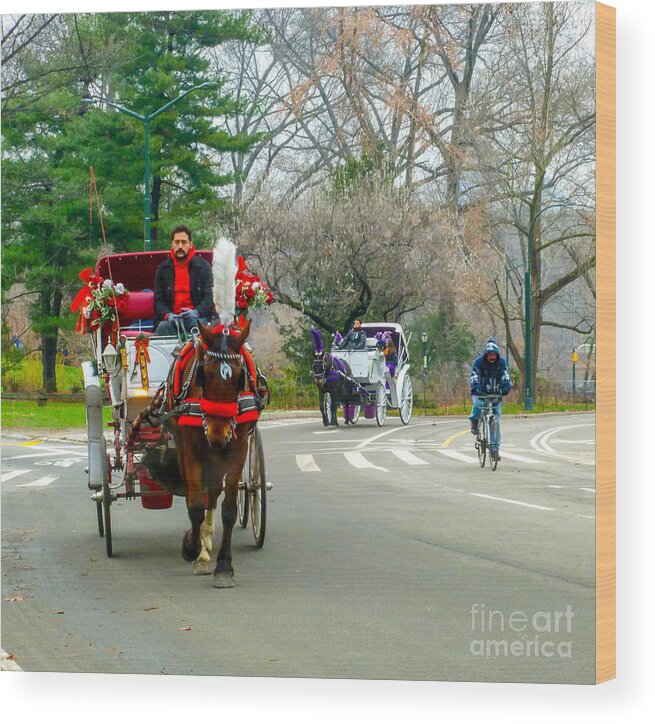 This Is A Photo Of A Couple Horse And Buggy Rides In Central Park New York City. Wood Print featuring the photograph Central Park Horse and Buggy Rides New York CIty by Bill Rogers