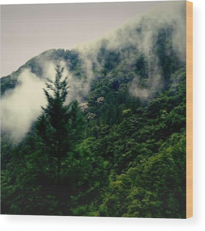  Wood Print featuring the photograph Chichibu Cloud Sea by Yoko Takada