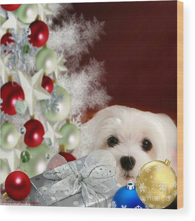 maltese Dog Christmas Wood Print featuring the mixed media Christmas Baubles by Morag Bates
