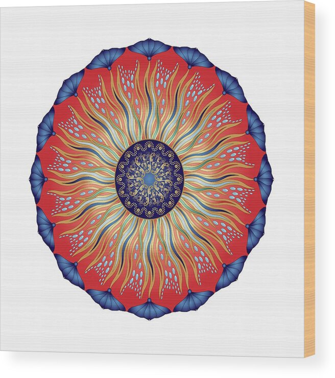 Mandala Wood Print featuring the digital art Circularium No. 2627 by Alan Bennington
