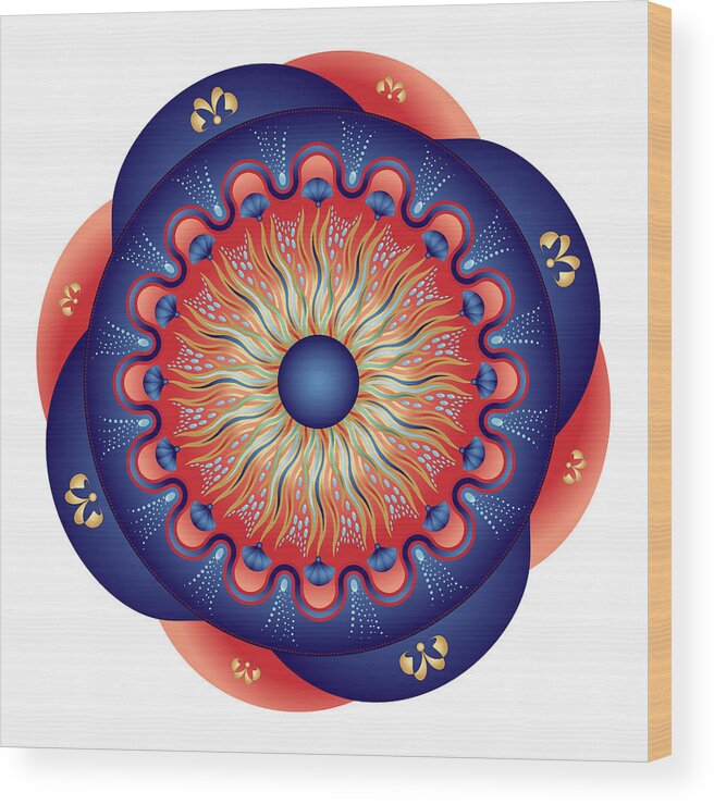 Mandala Wood Print featuring the digital art Circularium No 2655 by Alan Bennington