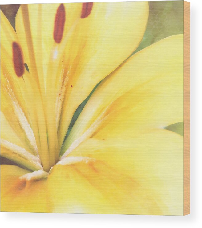 Blossom Wood Print featuring the photograph Citrine Blossom by Sand And Chi