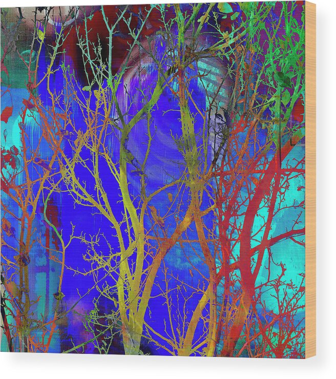 Tree Branches Wood Print featuring the photograph Colored Tree Branches by Susan Stone