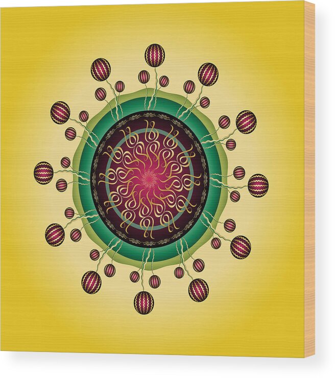 Mandala Wood Print featuring the digital art Complexical No 2221 by Alan Bennington