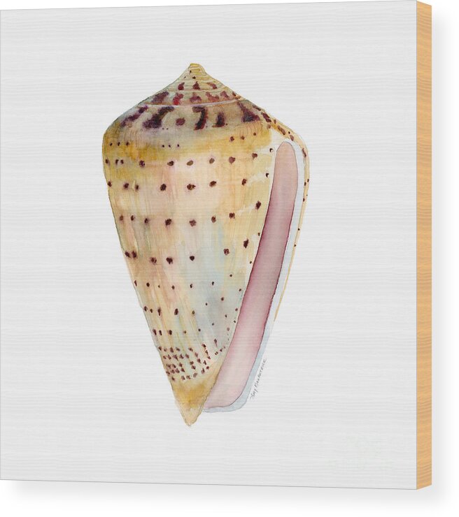 Leopardus Shell Painting Shells Watercolor Seashell Sea Conus Leopardus Orange Pink Brown Tan Blue Pink Purple Dots White Background Sea Shell Painting Shell Painting Watercolor Sea Shell Watercolor Beach Shell Watercolor Shells Beach Shell Painting Beach Shell Face Mask Wood Print featuring the painting Conus Leopardus Shell by Amy Kirkpatrick