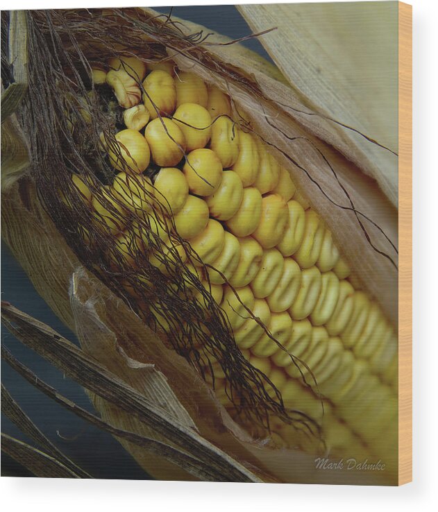  Wood Print featuring the photograph Corn by Mark Dahmke