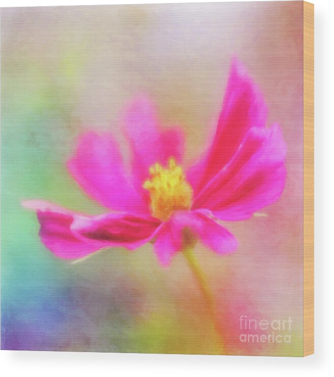 Cosmos Wood Print featuring the photograph Cosmos Flowers Love to Dance by Anita Pollak