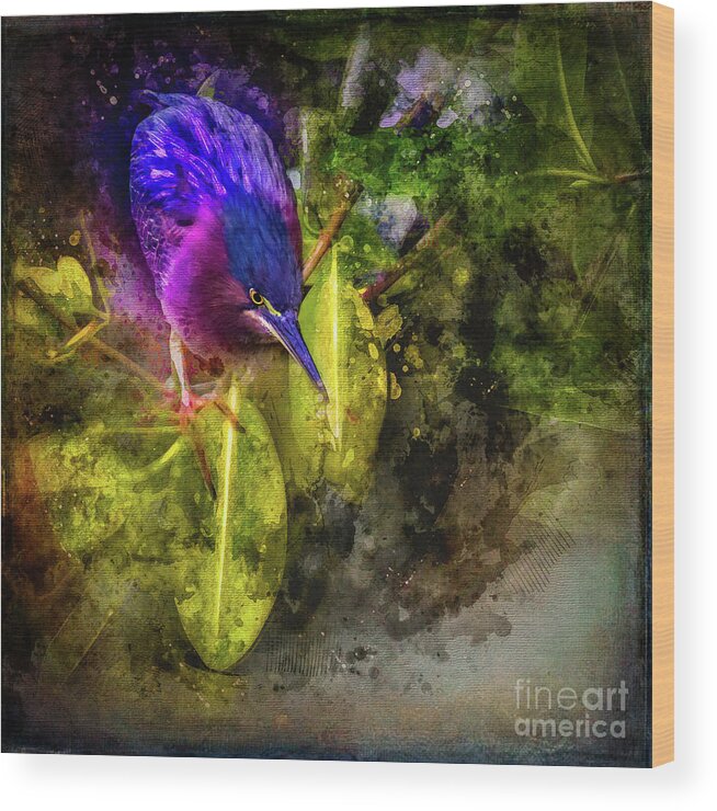 Costa Rica Wood Print featuring the photograph Costa Rican Heron by Doug Sturgess