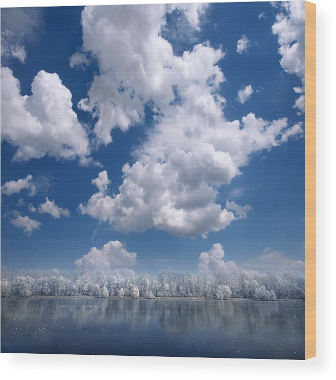 Clouds Wood Print featuring the photograph Cotton Sky by Philippe Sainte-Laudy