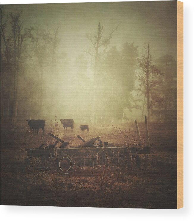 Photography Wood Print featuring the photograph Cows, Wagon, Fog by Melissa D Johnston