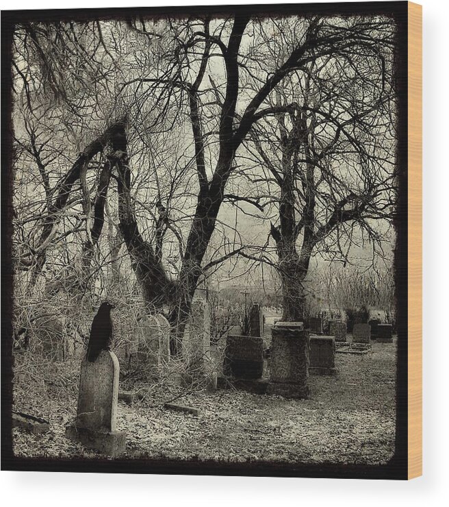 Crow Wood Print featuring the photograph Crow Waits On Tombstone by Gothicrow Images