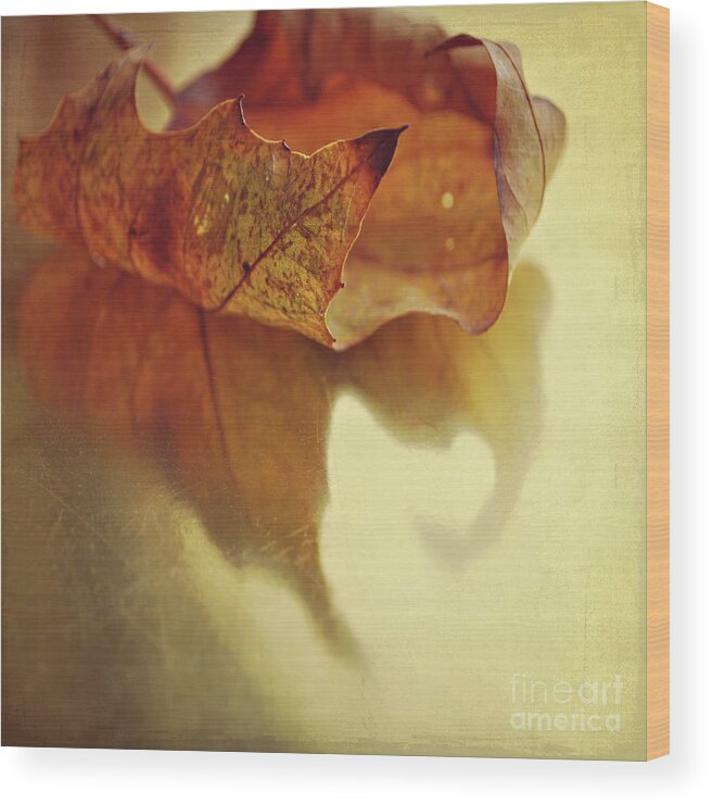 Leaf Wood Print featuring the photograph Curled Autumn Leaf by Lyn Randle