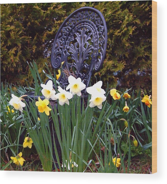 Spring Wood Print featuring the photograph Daffodil Garden by Newwwman