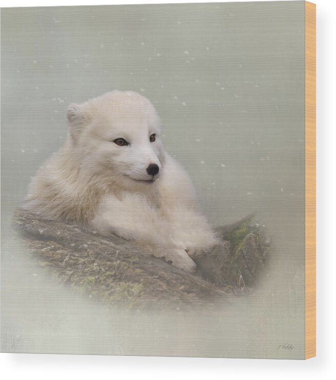 Daring The Soul Wood Print featuring the painting Daring The Soul - Arctic Fox Art by Jordan Blackstone