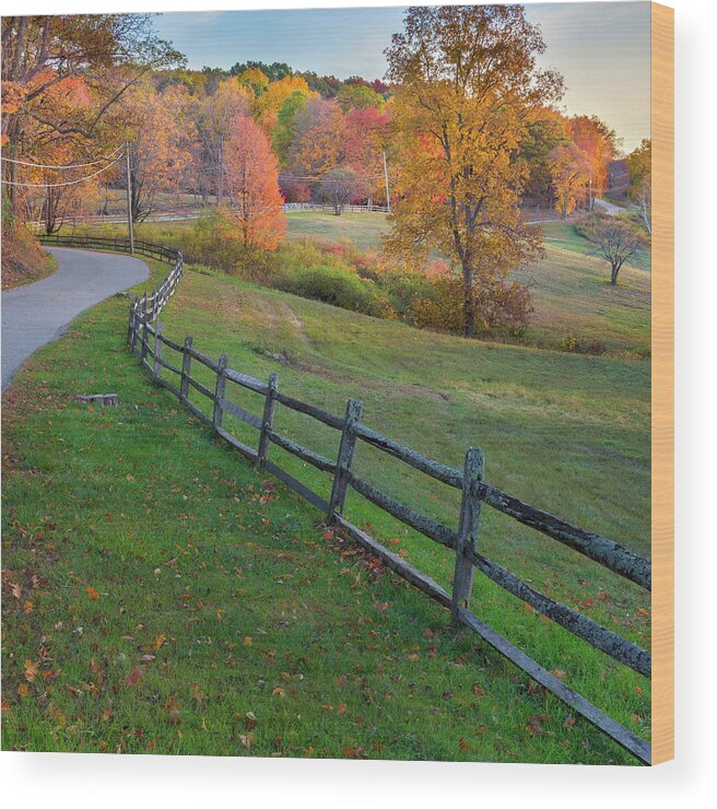 Square Wood Print featuring the photograph Down the Autumn Road Square by Bill Wakeley