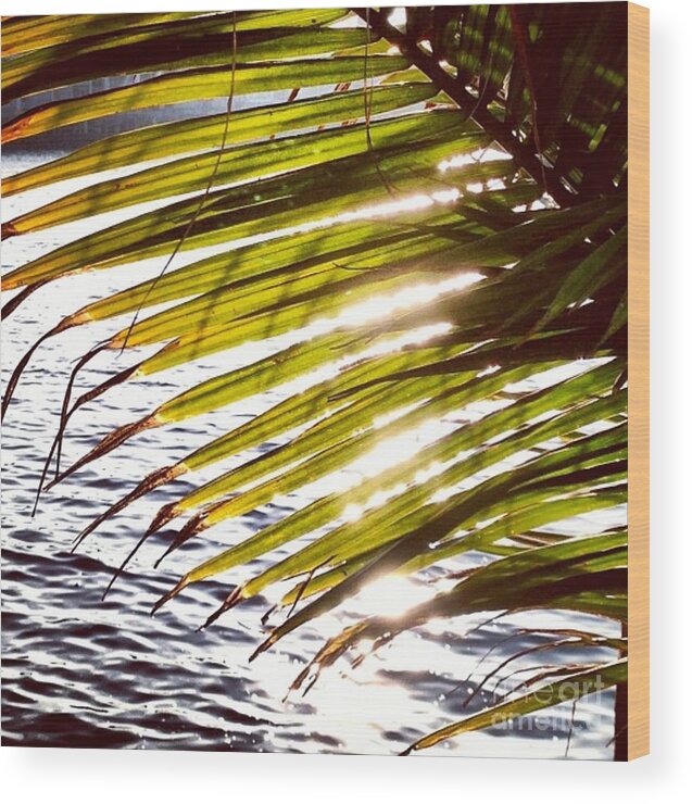Palm Wood Print featuring the photograph Downtown by Denise Railey