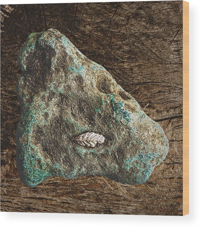 Wildflower Wood Print featuring the photograph Dryas Leaf and Copper Nugget by Fred Denner