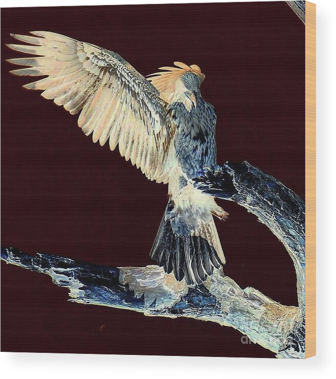 Bald Eagles Wood Print featuring the photograph E9 beautiful flying landing by Liz Grindstaff