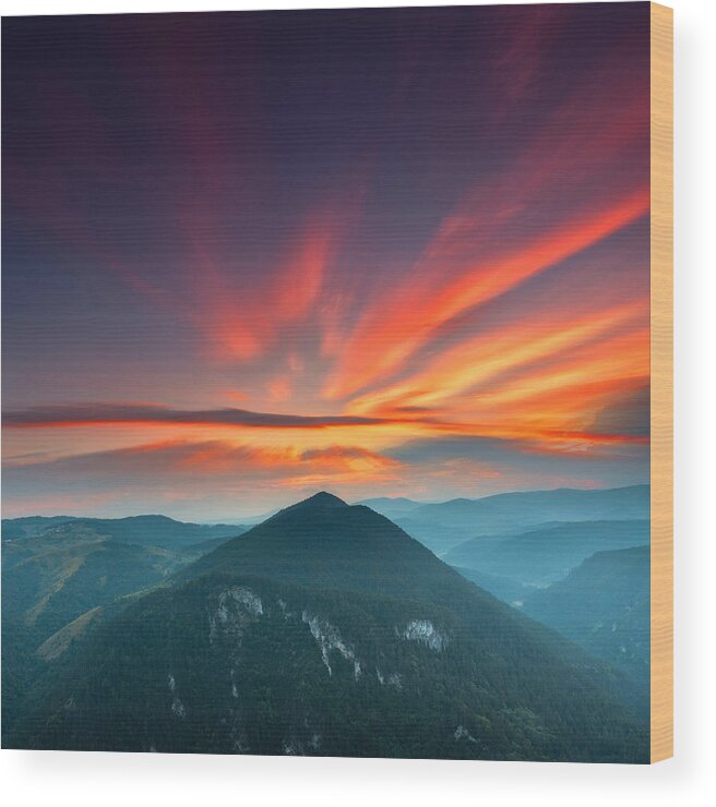 Mountain Wood Print featuring the photograph Eagle Eye by Evgeni Dinev