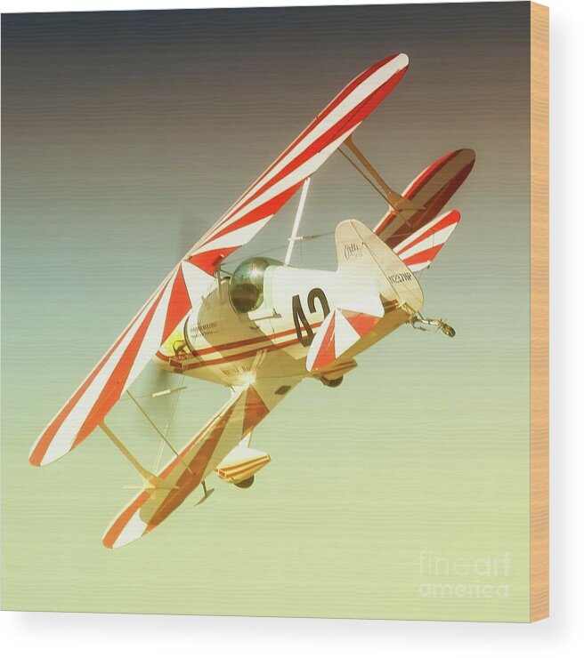 Airplane Wood Print featuring the photograph Earl Allen and Pitts Race 42 The Other Woman by Gus McCrea