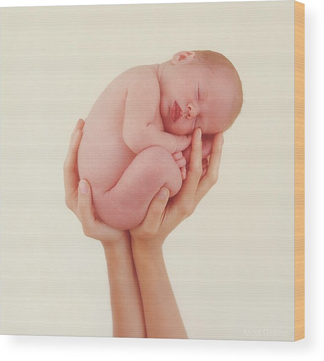 Baby Wood Print featuring the photograph Emily Holding Laura by Anne Geddes