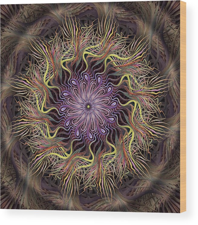 Pinwheel Mandalas Wood Print featuring the digital art Enchanted Florist by Becky Titus