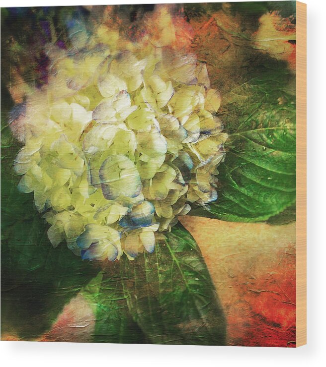Hydrangeas Wood Print featuring the mixed media Endless Summer by Colleen Taylor