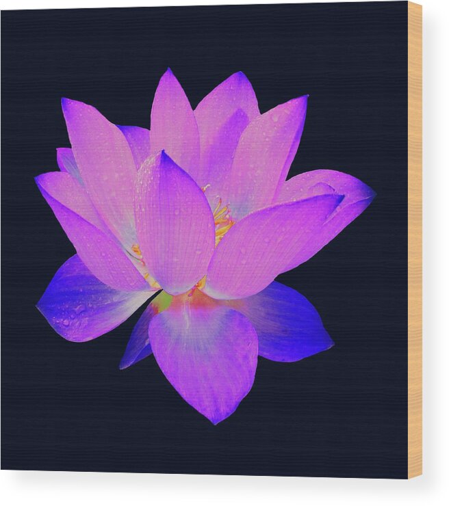 Lotus Wood Print featuring the painting Evening Purple Lotus by David Dehner