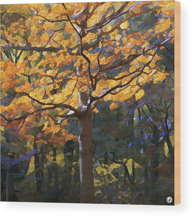 Landscape Wood Print featuring the photograph Fall in New York by Unhinged Artistry
