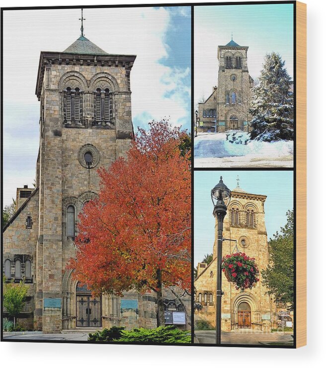 Seasons Wood Print featuring the photograph Fall Winter Summer by Janice Drew