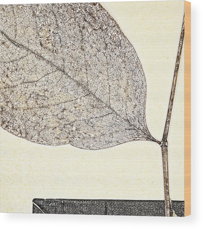 Leaf Wood Print featuring the photograph Fallen Leaf One of Two by Carol Leigh