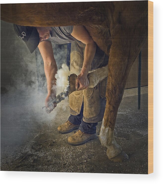 Visit Of Farrier Wood Print featuring the photograph Farrier Visit - 365-46 by Inge Riis McDonald