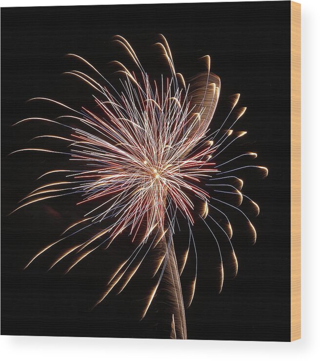 Dunkirk Ny Wood Print featuring the photograph Fireworks from a Boat - 16 by Jeffrey Peterson