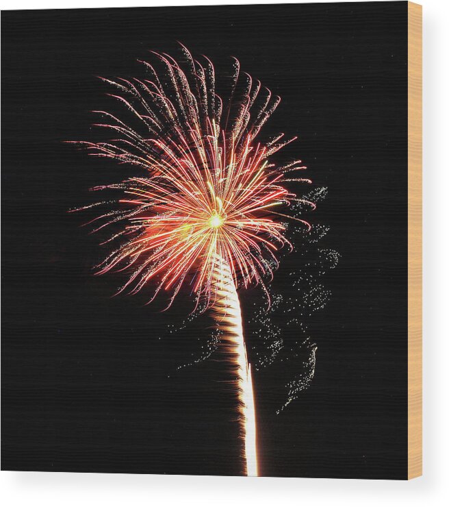 Fireworks Wood Print featuring the photograph Fireworks from a Boat - 23 by Jeffrey Peterson