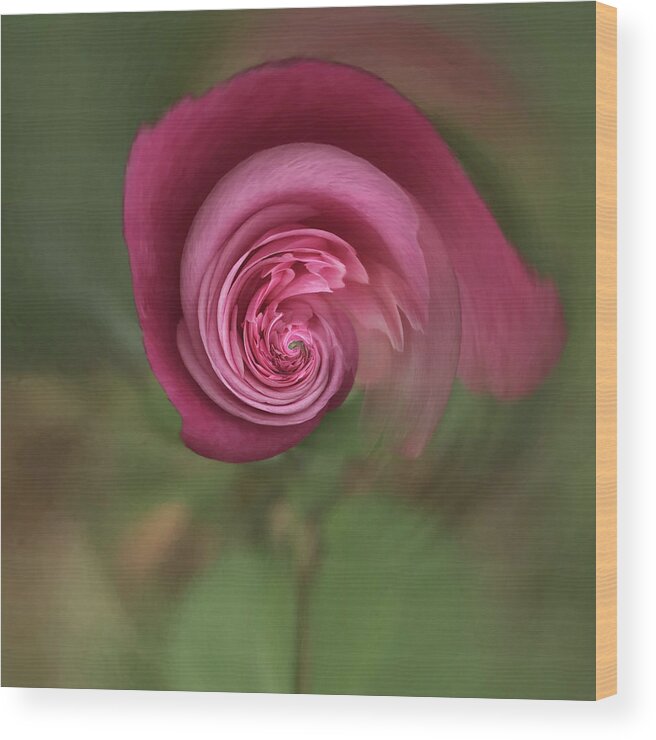 Rose Wood Print featuring the photograph Floral fantasy 1 by Usha Peddamatham