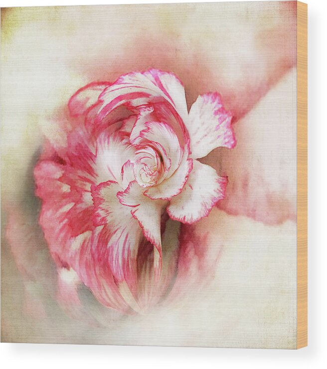 Floral Art Wood Print featuring the photograph Floral Fantasy 2 by Usha Peddamatham