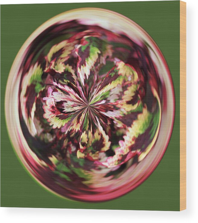 Flower Wood Print featuring the photograph Floral Orb by Bill Barber