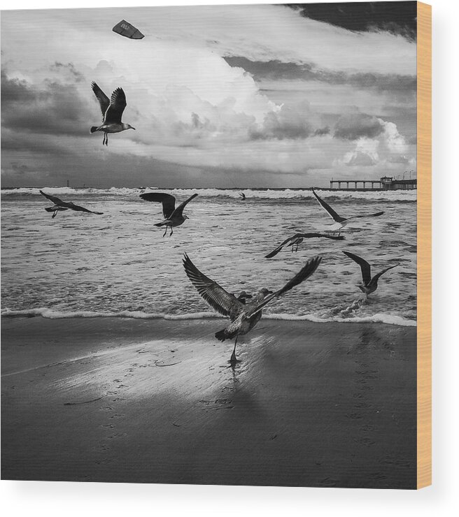 Beach Wood Print featuring the photograph Flow by Ryan Weddle