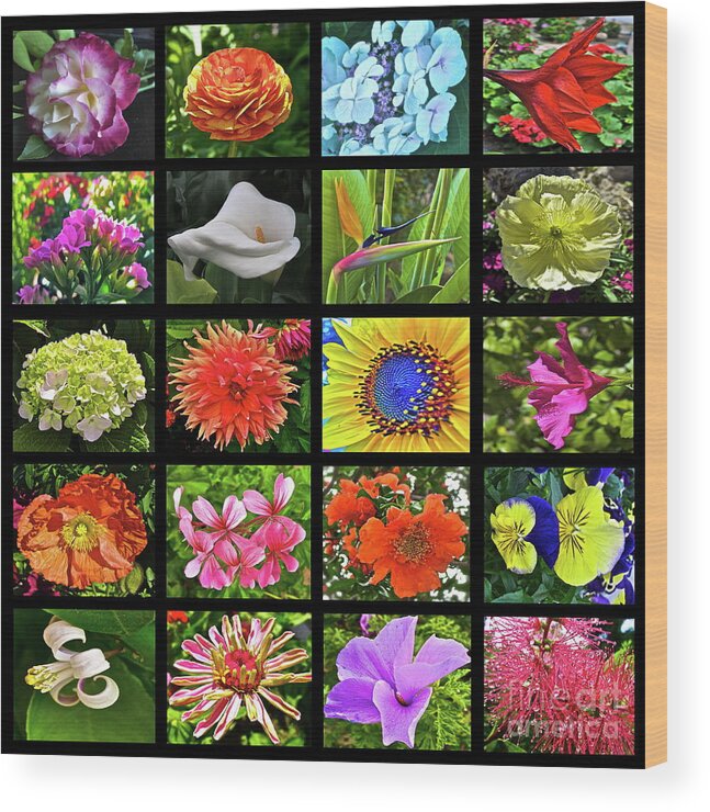 Flowers Wood Print featuring the photograph Flower Favorites by Gwyn Newcombe