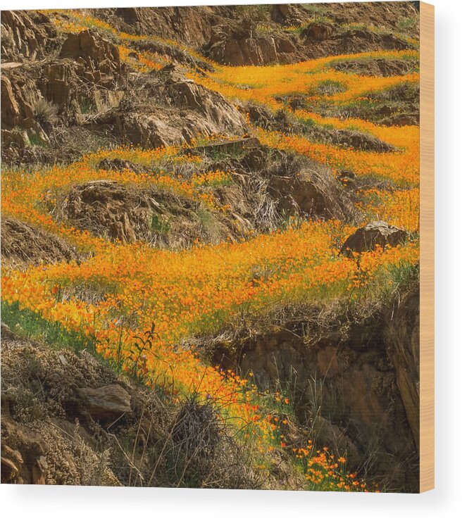 Orange Wood Print featuring the photograph Flowing Flowers by Susan Eileen Evans