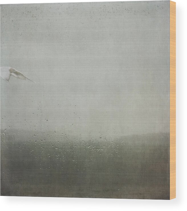 Seagull Wood Print featuring the photograph Fly Between the Raindrops by Sally Banfill